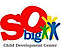 So Big Child Development Center logo