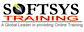 SoftSysTraining-com logo