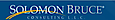 Solomon Bruce Consulting logo