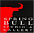 Spring Bull Gallery logo