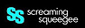 Screaming Squeegee logo