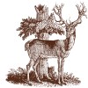 Stag''S Leap Wine Cellars logo