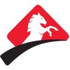 Stallion Security logo