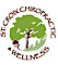 St. Croix Chiropractic and Wellness logo