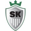 Steel King Industries logo