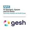 St George''s University Hospitals NHS Foundation Trust logo