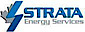 Strata International logo