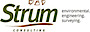 Strum Consulting logo