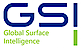 Global Surface Intelligence logo