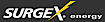 Surgex | Ametek logo