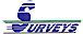 Survey Analysis logo