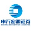 Shenwan Hongyuan Securities logo