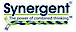 Synergent logo