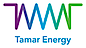 Tamar Energy logo