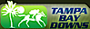 Tampa Bay Downs logo