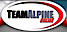 Team Alpine logo