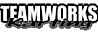 Teamworks Karting logo