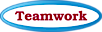 Teamwork Solutions logo