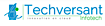 Techversant logo