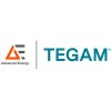 TEGAM logo