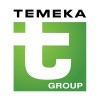 Temeka Group logo