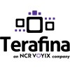 Terafina, an NCR logo