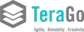 TeraGo logo