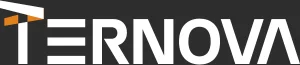 Grupo Ternova logo