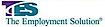 TES The Employment Solution logo