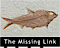 The Missing Link logo