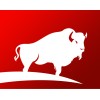 The Buffalo Group logo