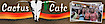 Cactus Cafe logo