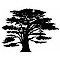 The Cedars logo