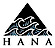 The Hana Group logo