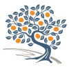 The Persimmon Group logo