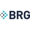 Berkeley Research Group logo