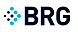 Berkeley Research Group logo