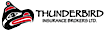 Thunderbird Insurance logo