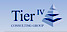 TIER IV CONSULTING GROUP logo