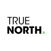 True North Consulting Group logo