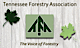 Tennessee Forestry Association logo