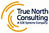 True North Consulting logo