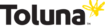 Toluna logo