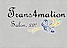 Trans4mation Salon logo