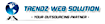 Trendz Web Solution logo