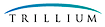 Trillium Solutions Group logo