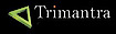 Trimantra Software Solution logo