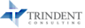 Trindent Consulting logo