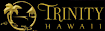 Trinity Properties logo