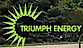 Triumph Energy logo